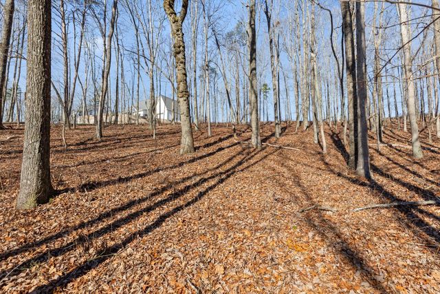 3037 River Gorge Drive Homesite 973, Chattanooga, TN 37419