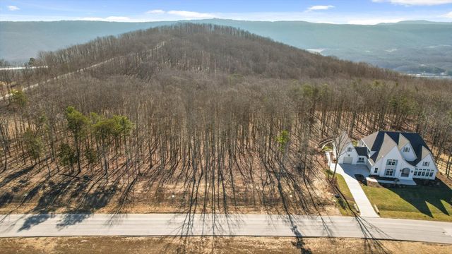 3037 River Gorge Drive Homesite 973, Chattanooga, TN 37419