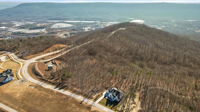 3037 River Gorge Drive Homesite 973, Chattanooga, TN 37419