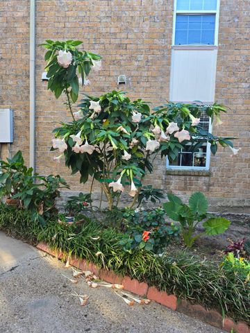 5550 N Braeswood Boulevard 43, Houston, TX 77096