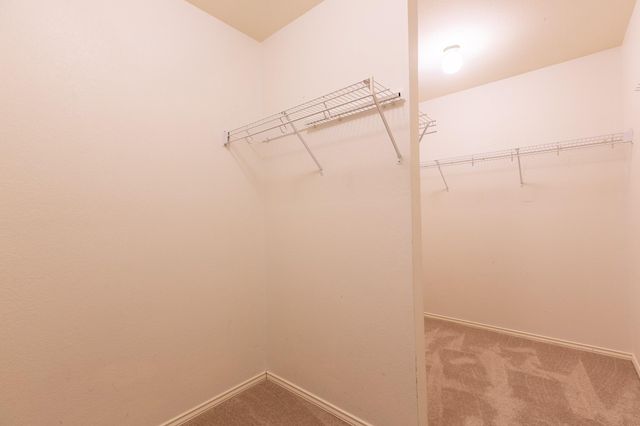 2308 Sandra DR, Cedar Park, TX 78613