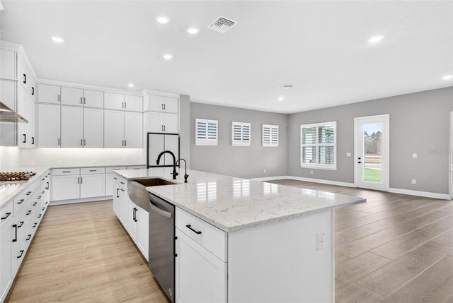 16181 NOVEMBER RAIN COURT, Land O Lakes, FL 34638
