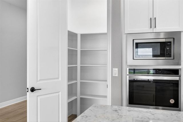 16181 NOVEMBER RAIN COURT, Land O Lakes, FL 34638