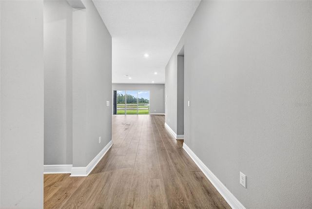 16181 NOVEMBER RAIN COURT, Land O Lakes, FL 34638