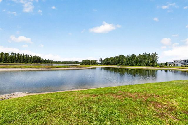 16181 NOVEMBER RAIN COURT, Land O Lakes, FL 34638