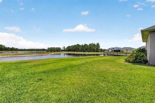 16181 NOVEMBER RAIN COURT, Land O Lakes, FL 34638