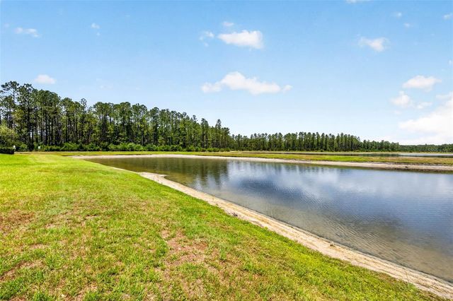 16181 NOVEMBER RAIN COURT, Land O Lakes, FL 34638