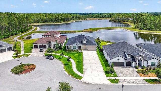 16181 NOVEMBER RAIN COURT, Land O Lakes, FL 34638