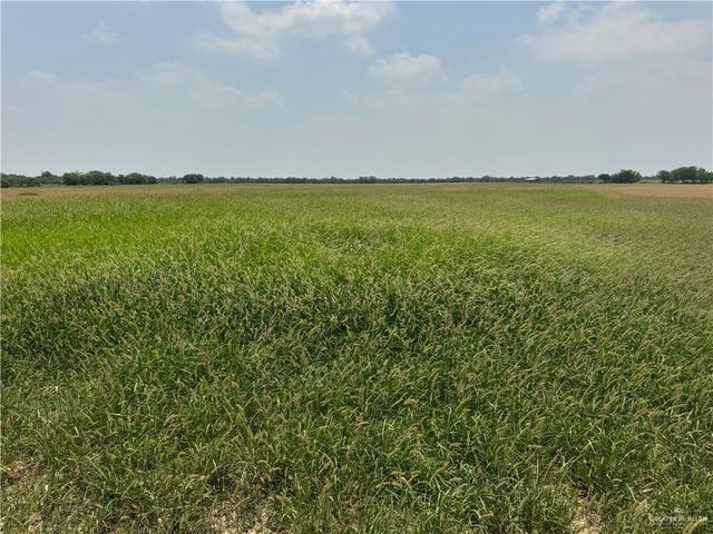 39001 Mile 14 Road, Edinburg, TX 78541