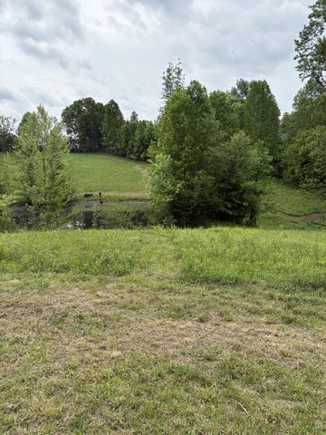 430 Delong Rd, Smithville, TN 37166