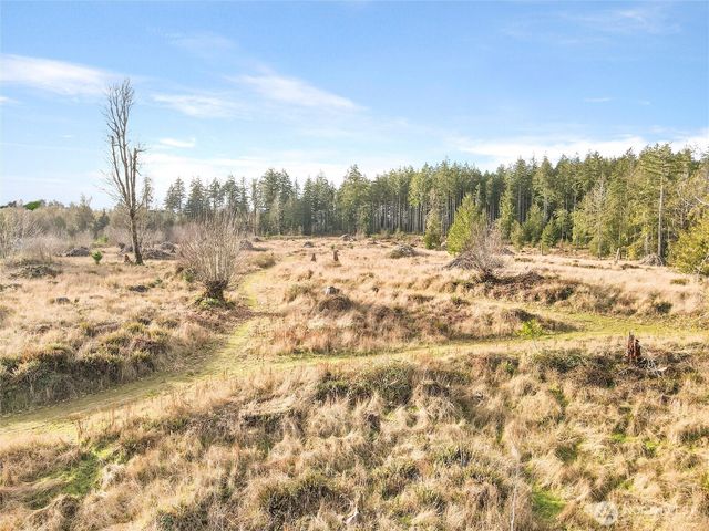 0 X Gravelly Beach Loop NW, Olympia, WA 98502