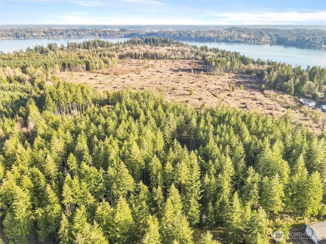 0 X Gravelly Beach Loop NW, Olympia, WA 98502