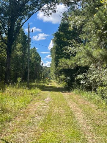 198 Dove Lane, Walterboro, SC 29488