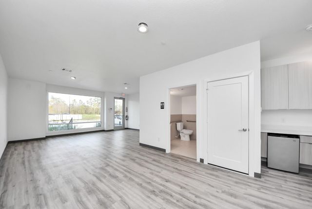 18716 Centro Main Street, Shenandoah, TX 77385