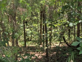 6 Lots Farm Road 1255, Shell Knob, MO 65747