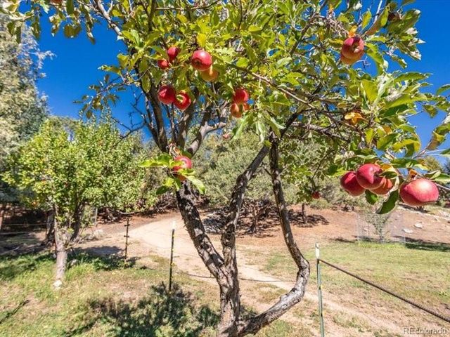 548 Shamrock Ln, Howard, CO 81233