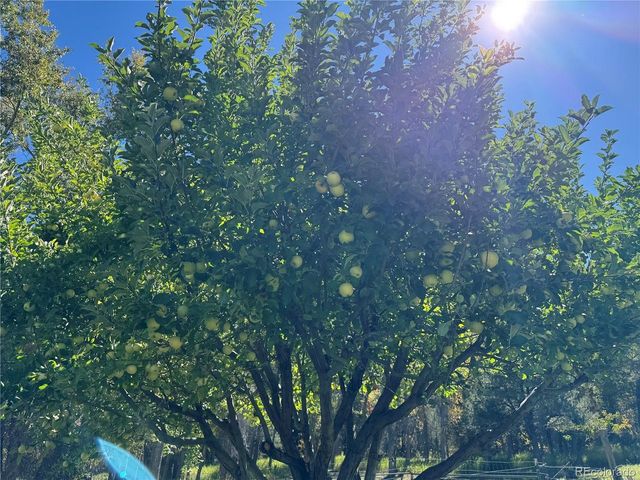 548 Shamrock Ln, Howard, CO 81233
