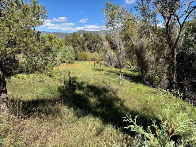548 Shamrock Ln, Howard, CO 81233