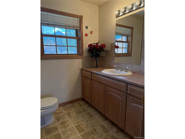 548 Shamrock Ln, Howard, CO 81233