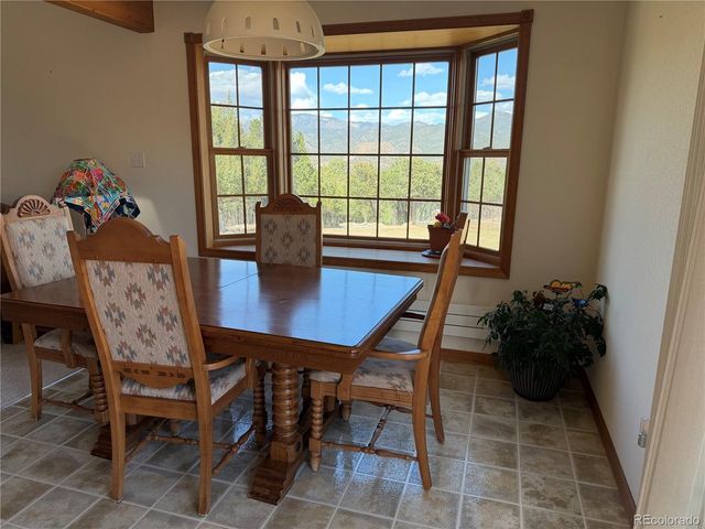548 Shamrock Ln, Howard, CO 81233