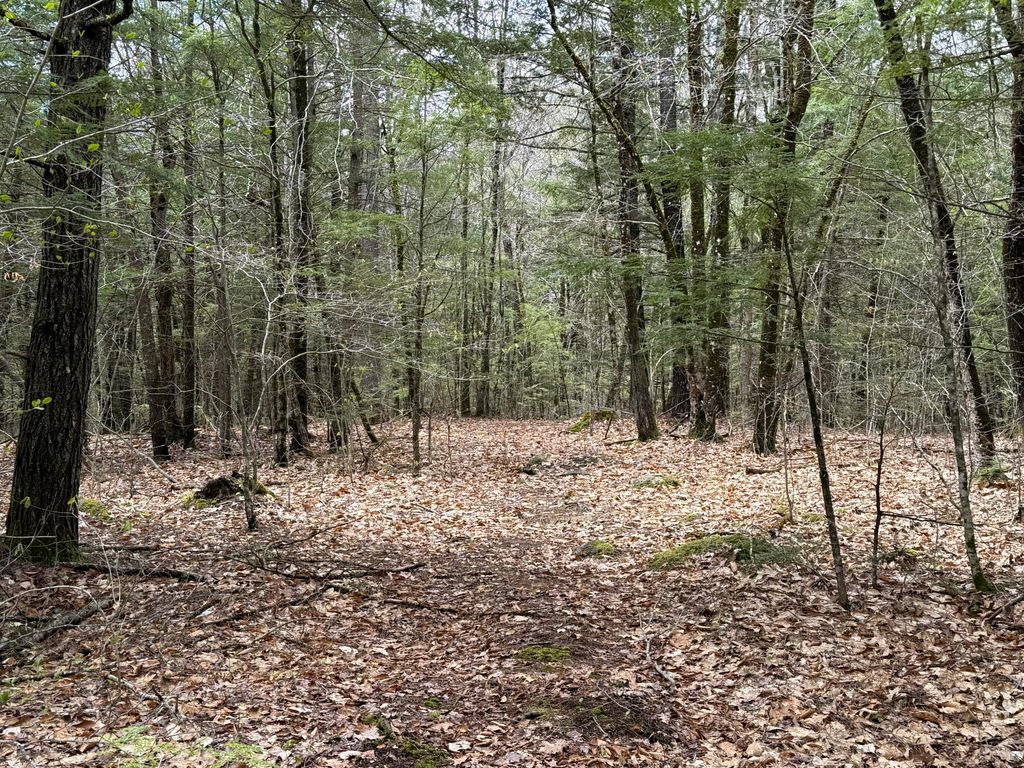 48 Highland Ridge, Hollis, ME 04042 — photo 2