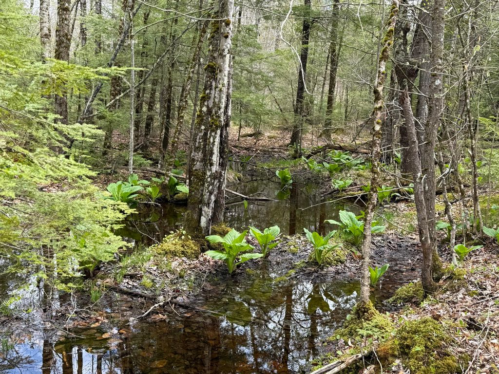 48 Highland Ridge, Hollis, ME 04042 — photo 3