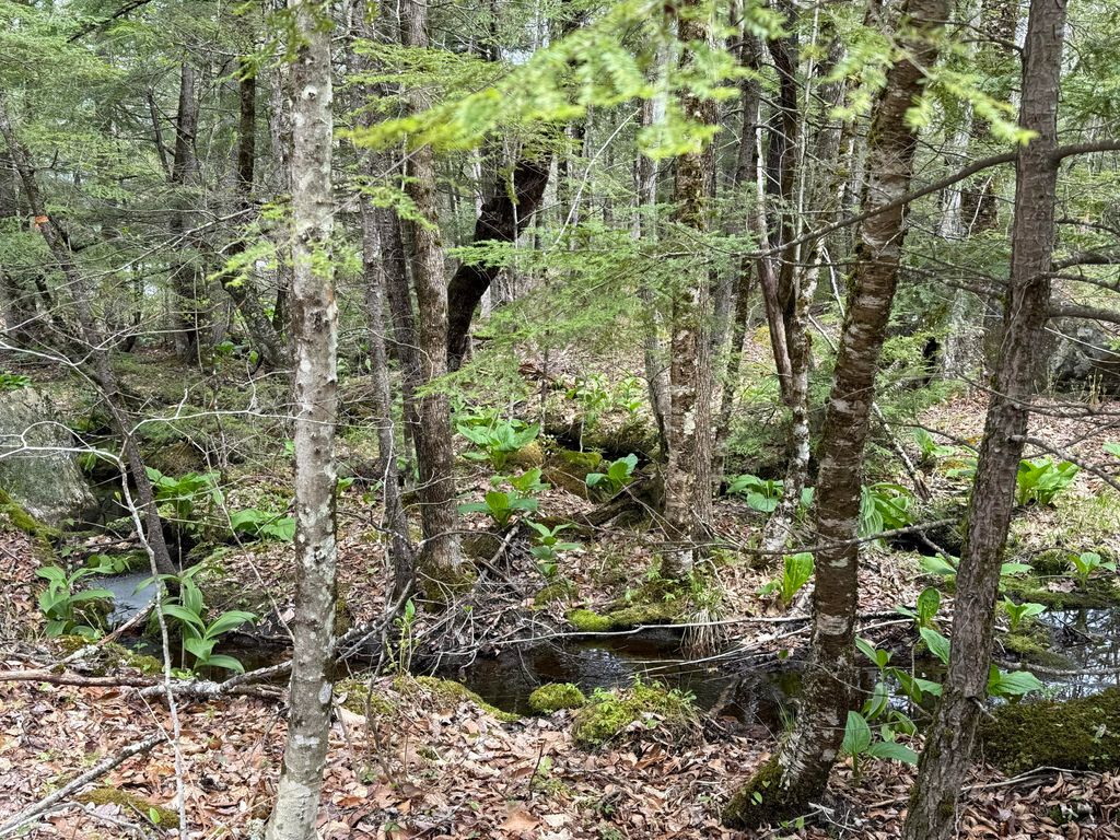 48 Highland Ridge, Hollis, ME 04042 — photo 5