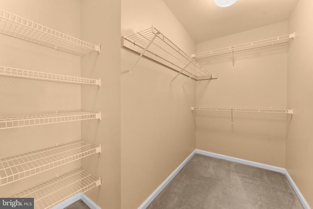 487 KEARNS DR, Culpeper, VA 22701