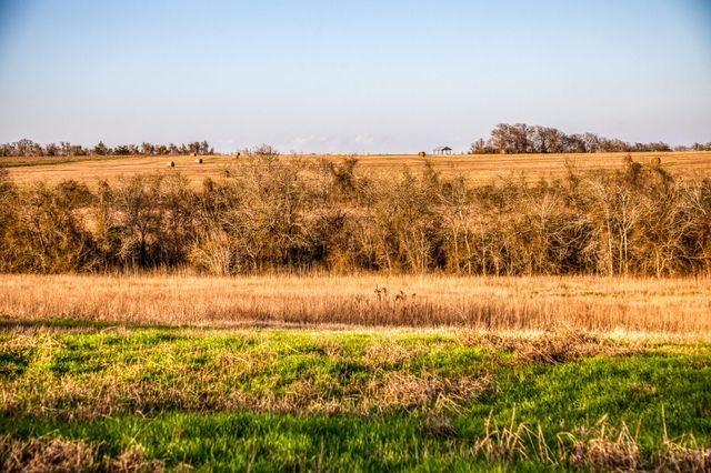 1905 Century Farms Road, Burton, TX 77835