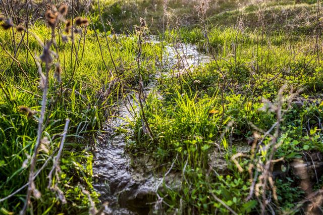 1905 Century Farms Road, Burton, TX 77835