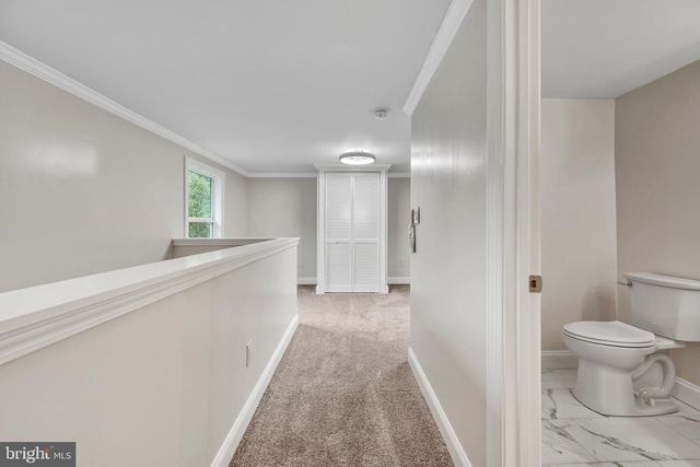 1142 ZACHARY TAYLOR HWY, Mineral, VA 23117