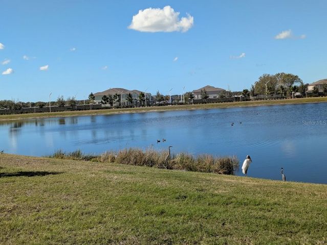 17221 STAR BANKS STREET, Wimauma, FL 33598