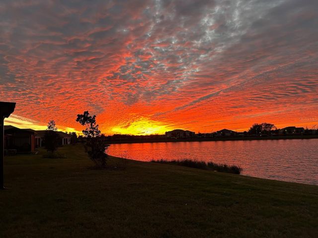 17221 STAR BANKS STREET, Wimauma, FL 33598