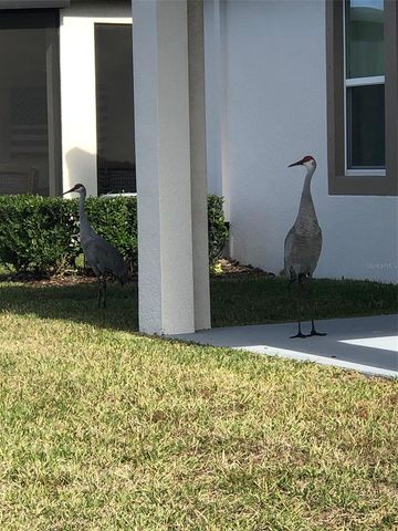 17221 STAR BANKS STREET, Wimauma, FL 33598