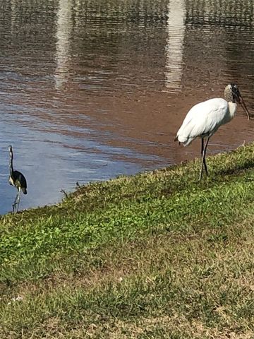 17221 STAR BANKS STREET, Wimauma, FL 33598