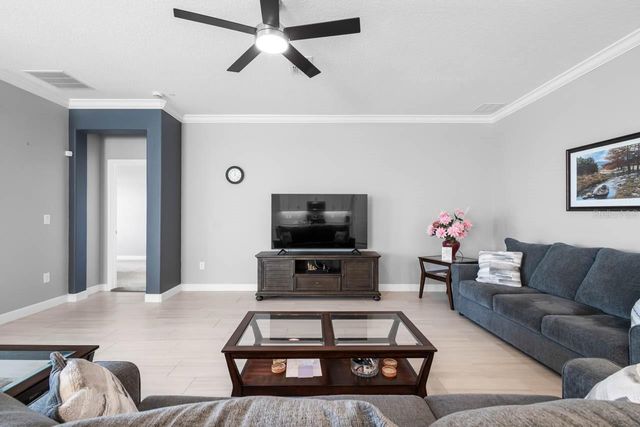 17221 STAR BANKS STREET, Wimauma, FL 33598