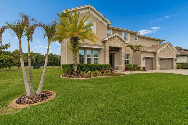12601 EAGLES ENTRY DRIVE, Odessa, FL 33556