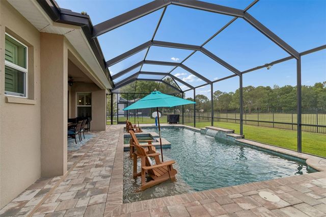 12601 EAGLES ENTRY DRIVE, Odessa, FL 33556