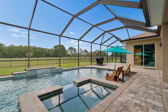 12601 EAGLES ENTRY DRIVE, Odessa, FL 33556