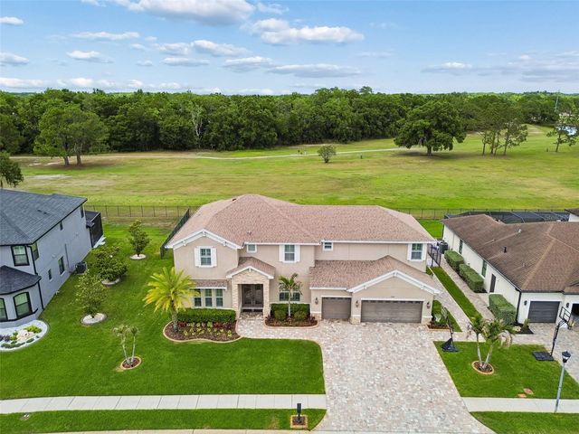 12601 EAGLES ENTRY DRIVE, Odessa, FL 33556