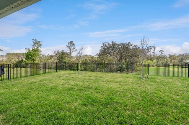 17750 BLAZING STAR CIRCLE, Clermont, FL 34714