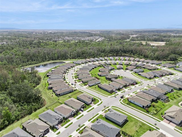 17750 BLAZING STAR CIRCLE, Clermont, FL 34714