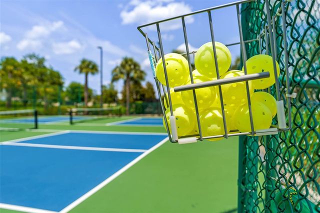 17750 BLAZING STAR CIRCLE, Clermont, FL 34714