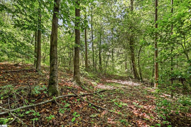 145 Night Sky Drive, Pickens, SC 29671