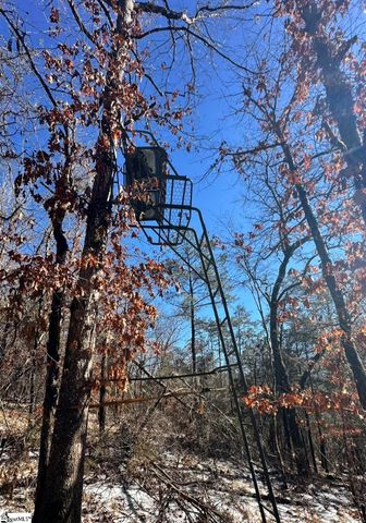 145 Night Sky Drive, Pickens, SC 29671