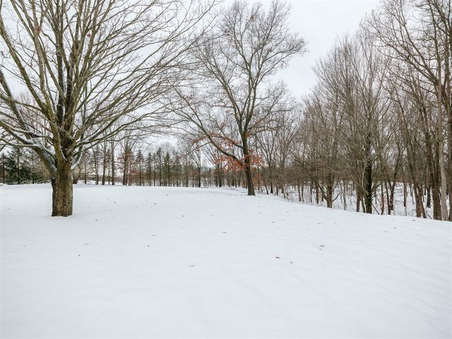 22853 Concord Avenue, Mattawan, MI 49071