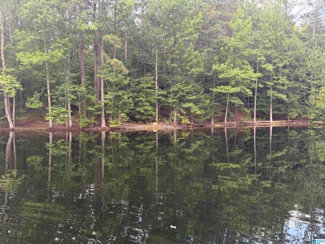 299 COUNTY ROAD 443, Verbena, AL 36091