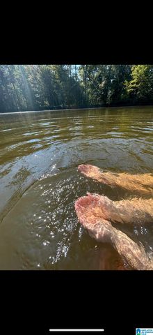 299 COUNTY ROAD 443, Verbena, AL 36091
