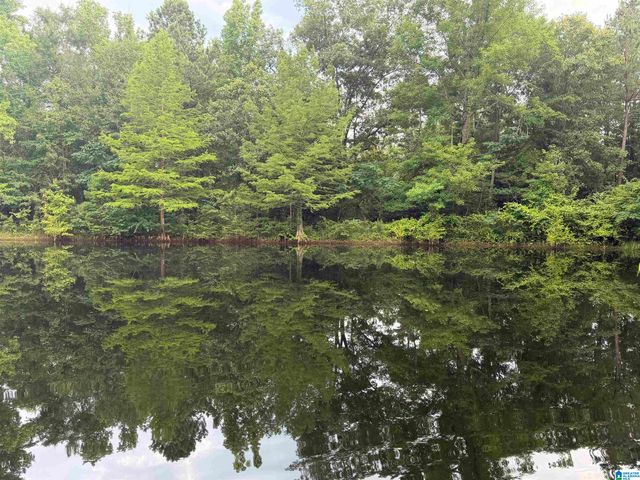 299 COUNTY ROAD 443, Verbena, AL 36091