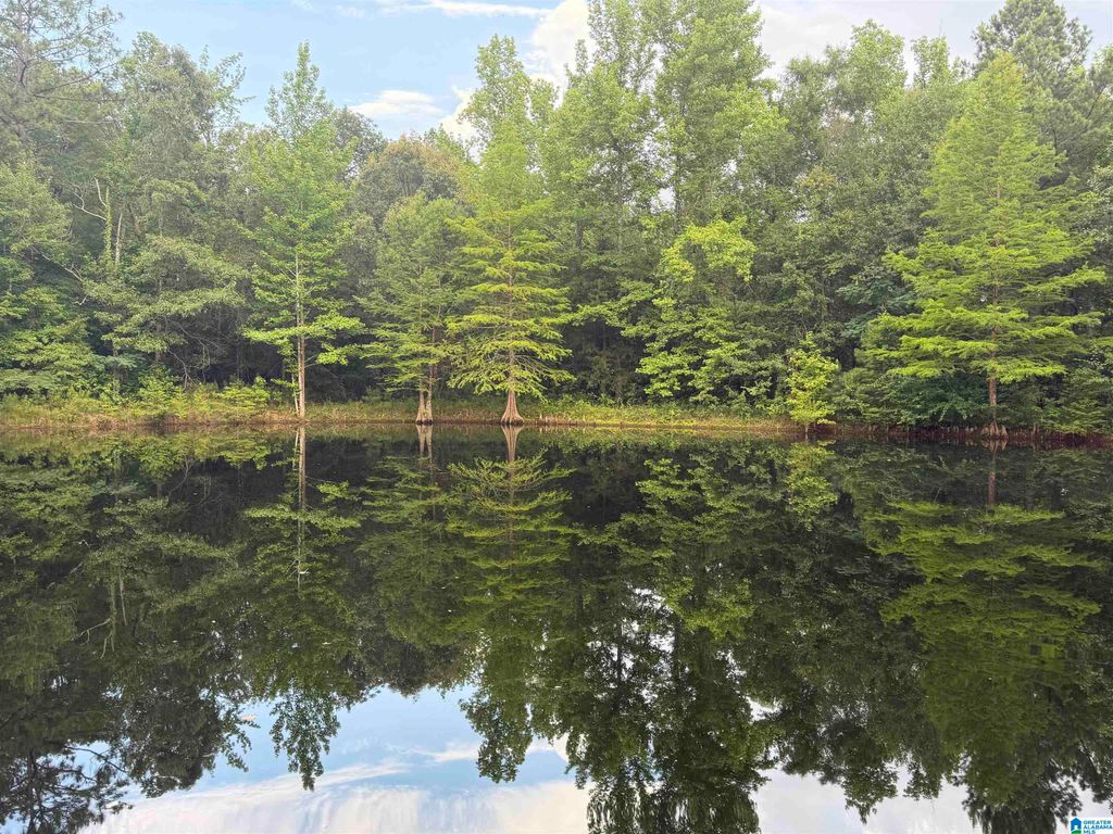 299 COUNTY ROAD 443, Verbena, AL 36091